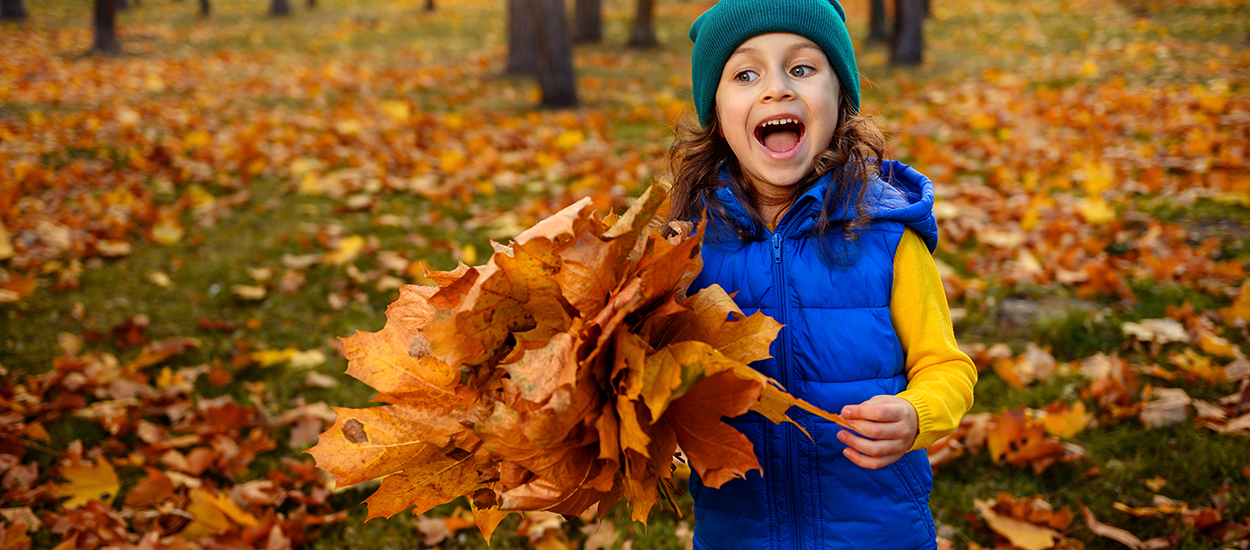 9 décorations d'automne à faire soi-même au retour d'une promenade dans la nature