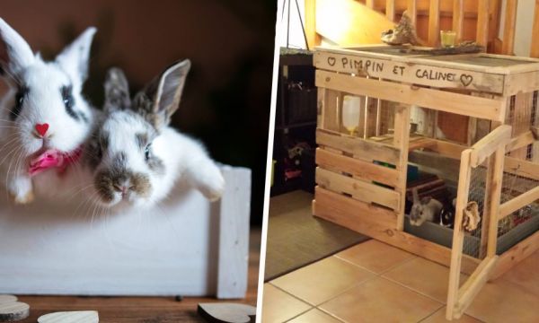 10 idées pour fabriquer une cage ou un enclos confortable pour votre lapin