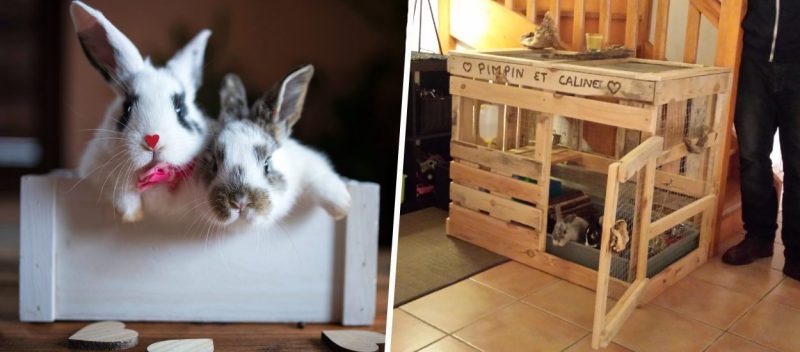 Construire Fabriquer Une Cage A Lapin En Palette
