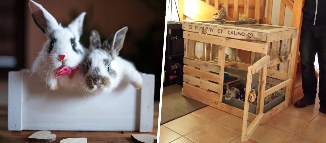Comment fabriquer une cage à lapin d'intérieur ou d'extérieur ?
