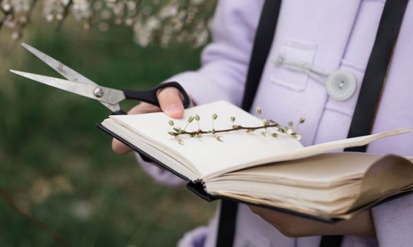 Comment réaliser un bel herbier avec vos enfants ?