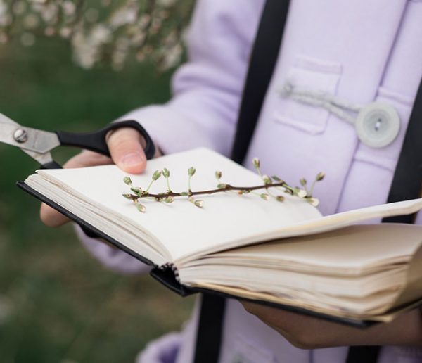 Comment réaliser un bel herbier avec vos enfants ?