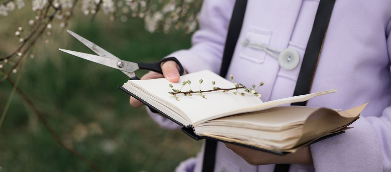 Comment réaliser un bel herbier avec vos enfants ?