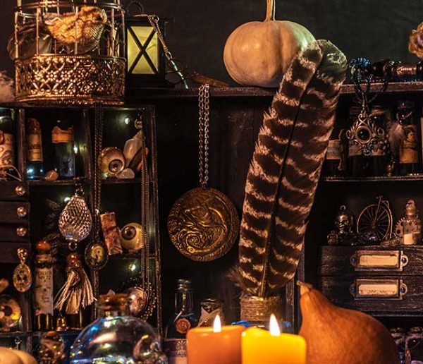 Halloween : comment réussir son cabinet de curiosités ?