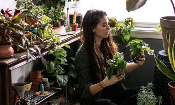 4 astuces pour que, cette fois, vos plantes survivent au confinement (si vous partez de chez vous)