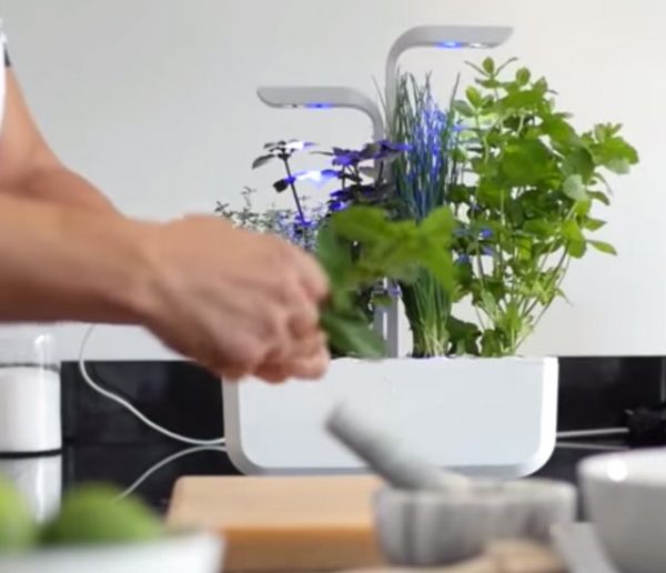 Pas besoin d'avoir la main verte pour cultiver vos légumes avec ce potager d'intérieur