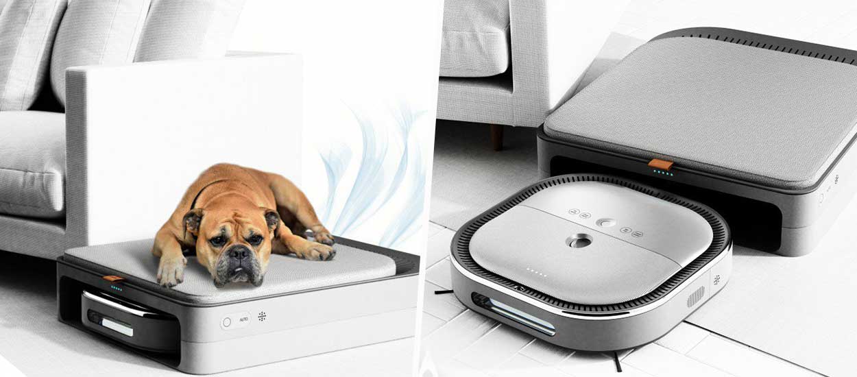 Il a inventé un aspirateur qui s'occupe de votre chien pendant votre absence