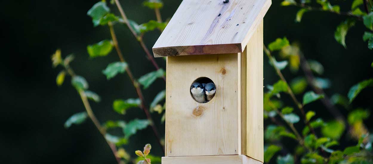 Un nichoir ouvert pour le plus grand plaisir des oiseaux de votre jardin.