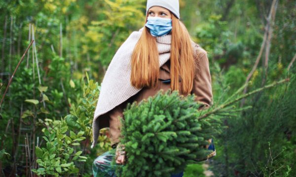 Malgré le reconfinement, les Français vont pouvoir acheter un sapin pour les fêtes dès vendredi