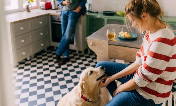Est-il raisonnable d'adopter un chien quand on habite en appartement ?