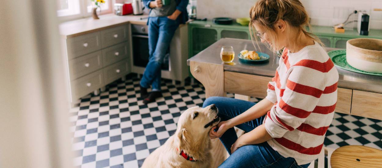 Est-il raisonnable d'adopter un chien quand on habite en appartement ?