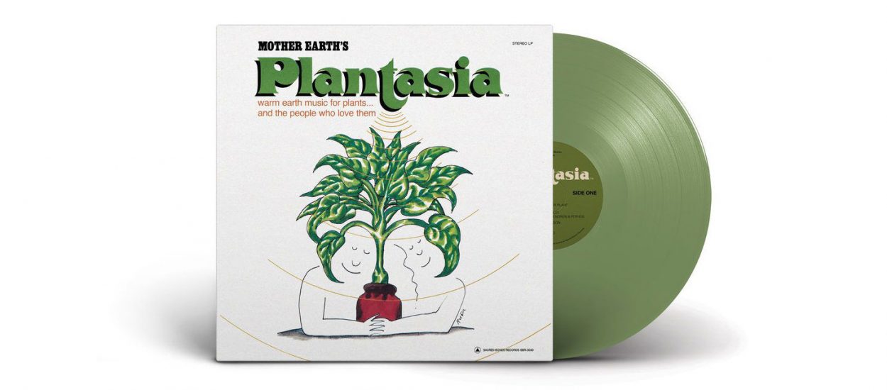 J'ai écouté un disque culte de 1976 qui fait pousser les plantes