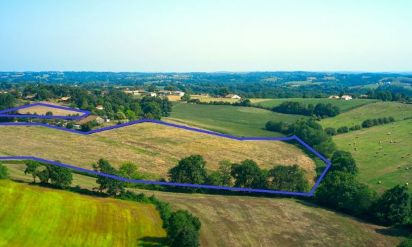 Deux amis veulent créer une forêt comestible de 7 hectares dans les Landes
