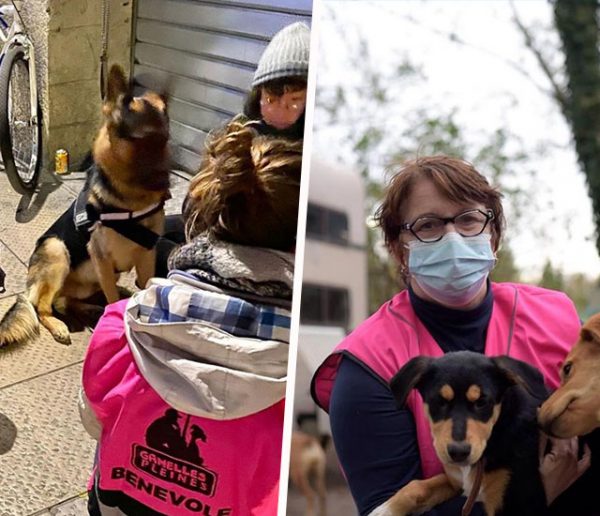 Pour aider les personnes sans-abri à s'en sortir, cette association s'occupe de leurs animaux