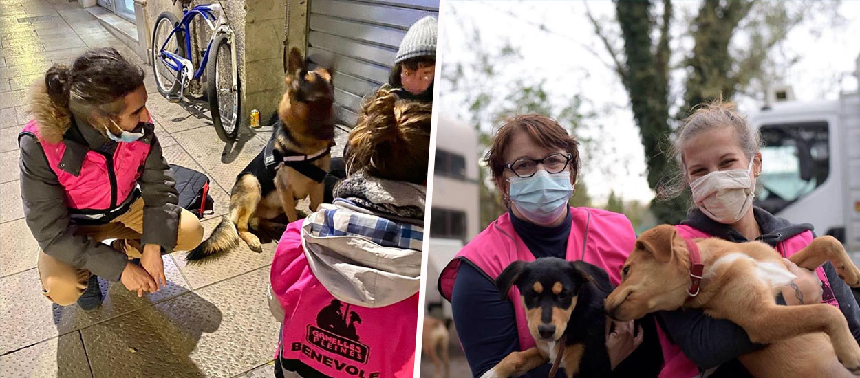 Pour aider les personnes sans-abri à s'en sortir, cette association s'occupe de leurs animaux