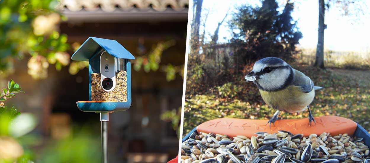 Mangeoire à oiseaux avec caméra de visualisation Caméra d