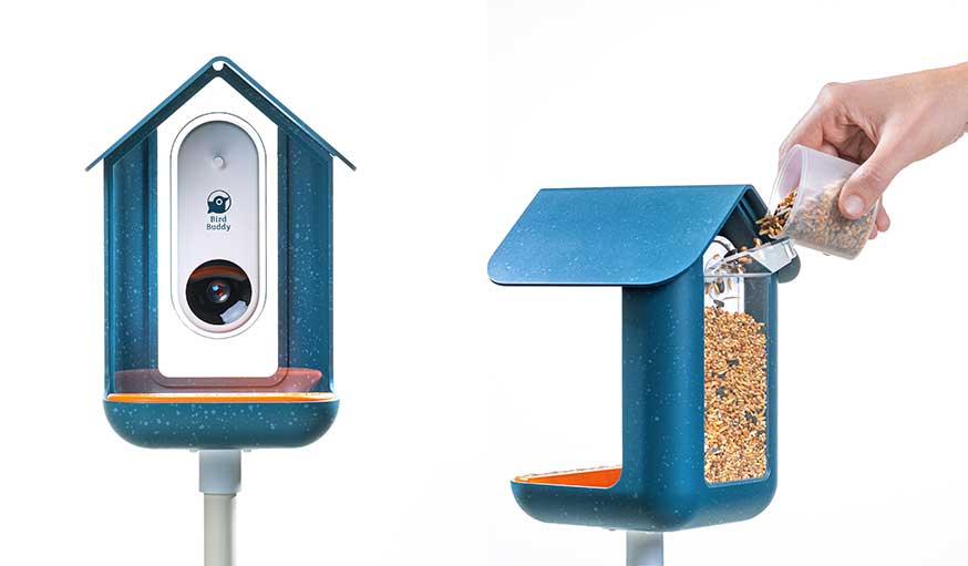 Une mangeoire connectée pour mieux photographier les oiseaux de