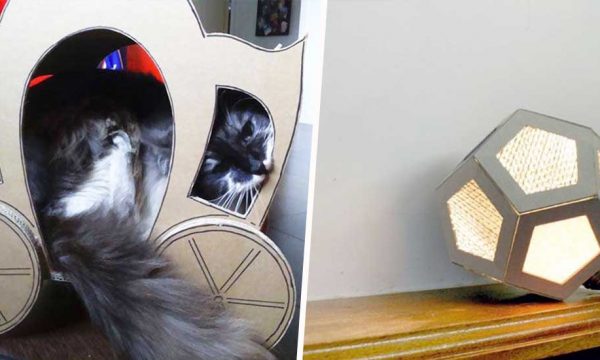 12 objets décos ou pratiques à fabriquer avec vos colis en carton