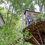 Xavier a construit sa cabane dans les arbres