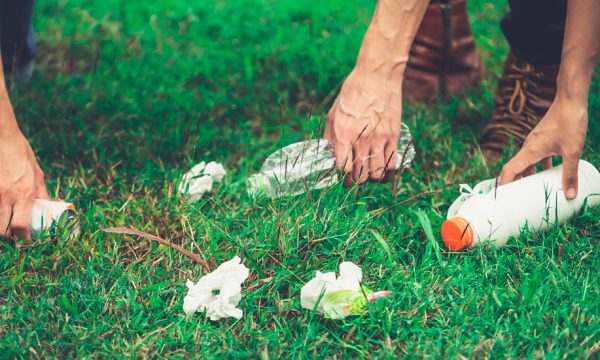 Prêt à relever 10 défis écolos par mois pour réduire votre impact sur la planète ?