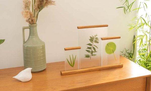 Tuto : Fabriquez un trio de cadres herbier à poser