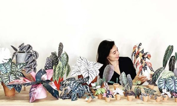 Vous n'avez pas la main verte ? Ces magnifiques plantes en papier font plus vraie que nature