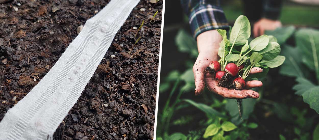 Fabriquez vos propres rubans à graines pour votre potager... avec du papier toilette