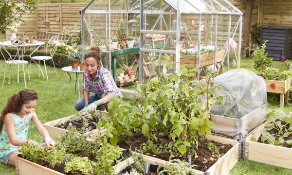 Tout le nécessaire pour cultiver un potager écolo et responsable