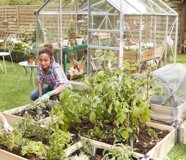 Tout le nécessaire pour cultiver un potager écolo et responsable