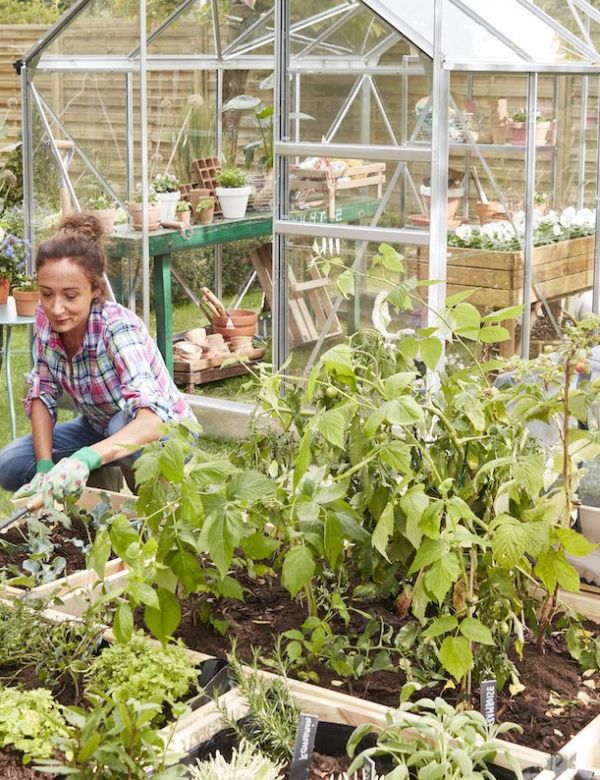 Tout le nécessaire pour cultiver un potager écolo et responsable