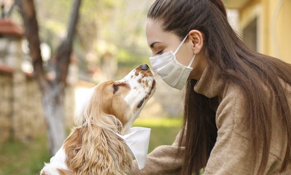 Comment être zéro déchet avec un animal de compagnie ?