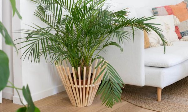 Tuto : Réalisez un cache-pot