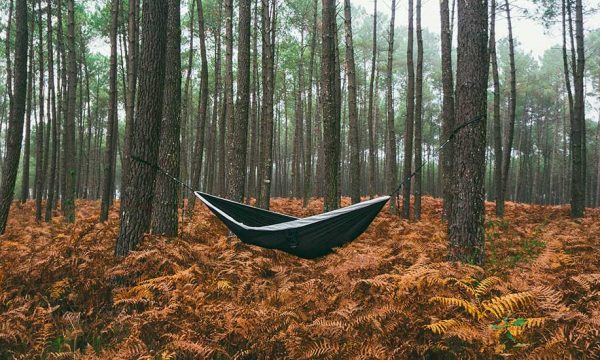 Pourquoi dormir dans les bois nous fait aussi peur ? On teste !
