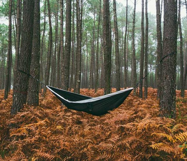 Pourquoi dormir dans les bois nous fait aussi peur ? On a testé pour vous