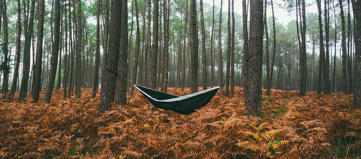 Pourquoi dormir dans les bois nous fait aussi peur ? On a testé pour vous