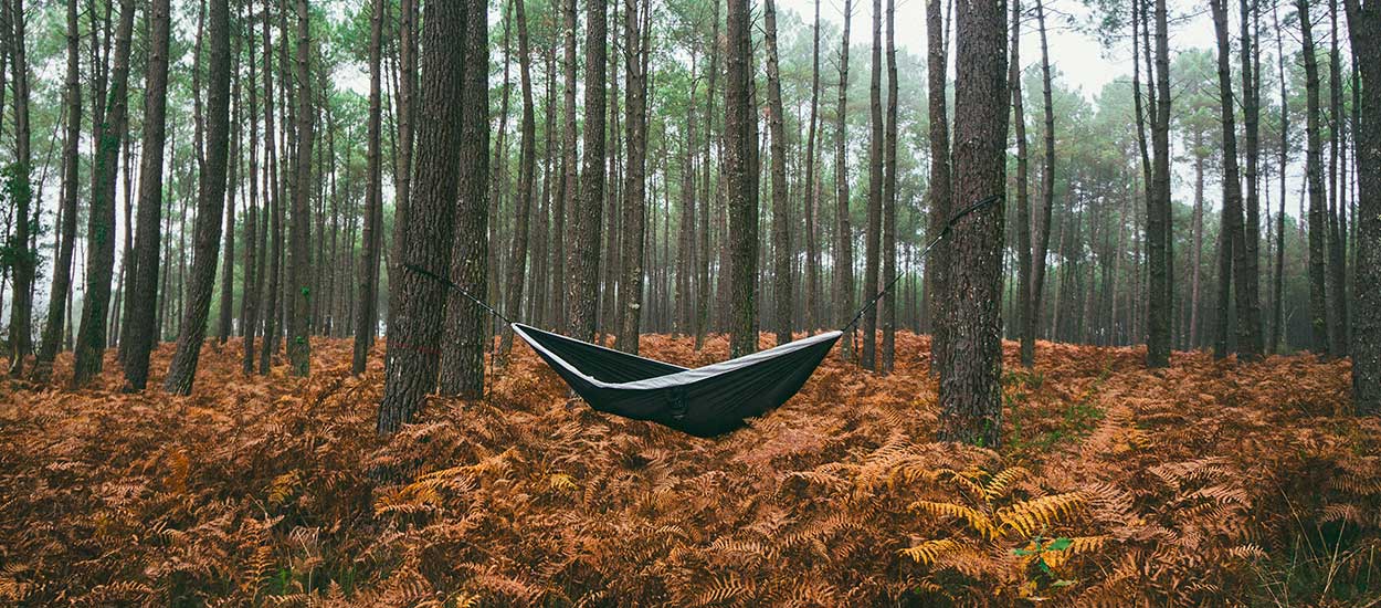 Pourquoi dormir dans les bois nous fait aussi peur ? On teste !