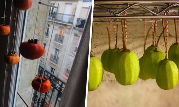 Essayez l'Hoshigaki : la tendance food japonaise qui décore vos fenêtres de cuisine !