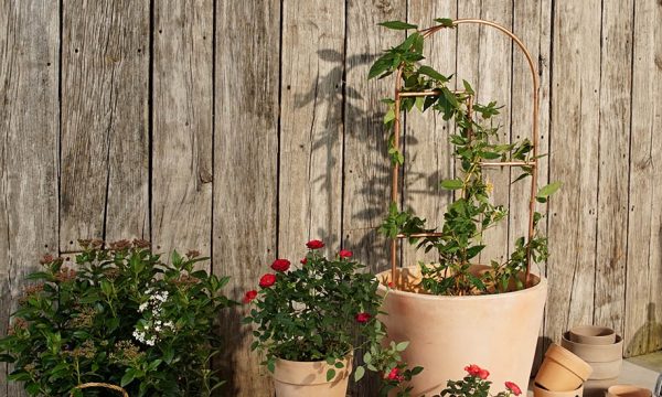 Tuto : Fabriquez un tuteur déco en cuivre pour vos plantes préférées
