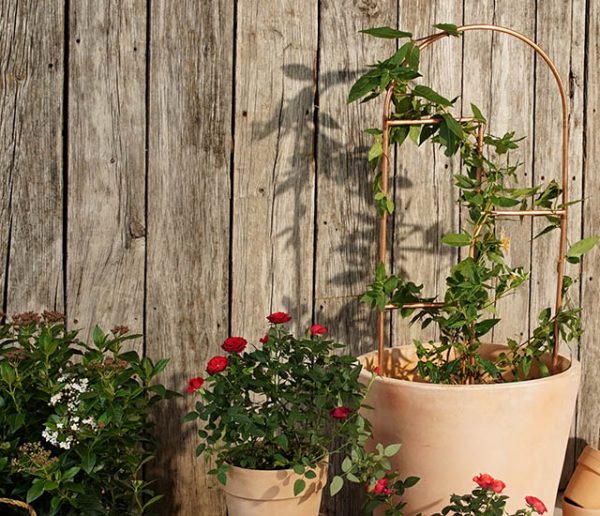 Tuto : Fabriquez un tuteur déco en cuivre pour vos plantes préférées