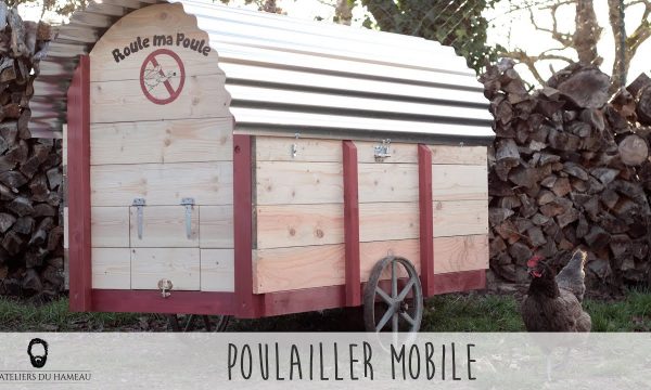 Ils construisent un poulailler mobile pour améliorer le confort de leurs poules