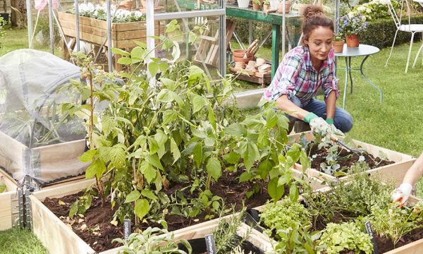 4 tutos pour installer un carré potager à la maison