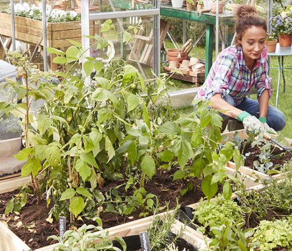 4 tutos pour installer un carré potager à la maison