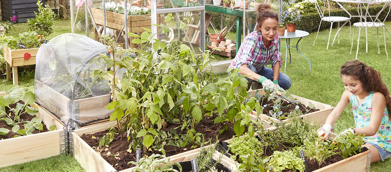 Comment installer et cultiver un potager en carré