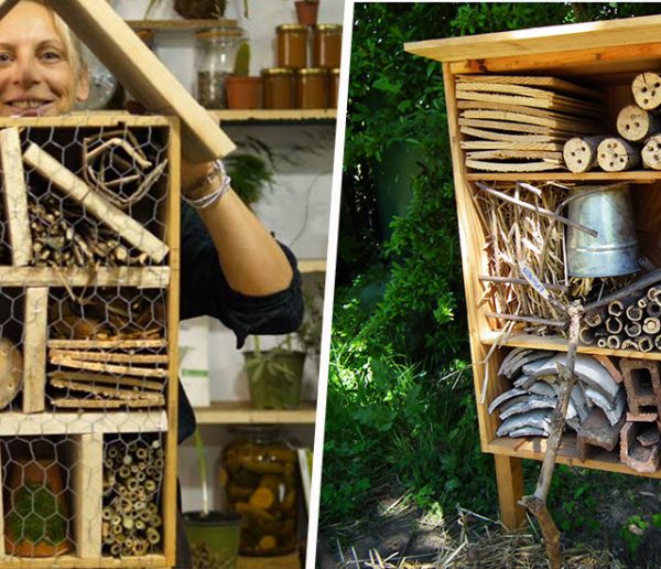 5 conseils pour fabriquer un hôtel à insectes - Famiflora ouvert 7/7