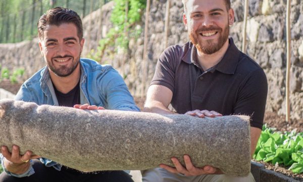 Grâce aux chutes de cheveux, ils créent un tapis de paillage naturel pour un jardin plus écolo