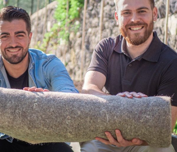 Grâce aux chutes de cheveux, ils créent un tapis de paillage naturel pour un jardin plus écolo