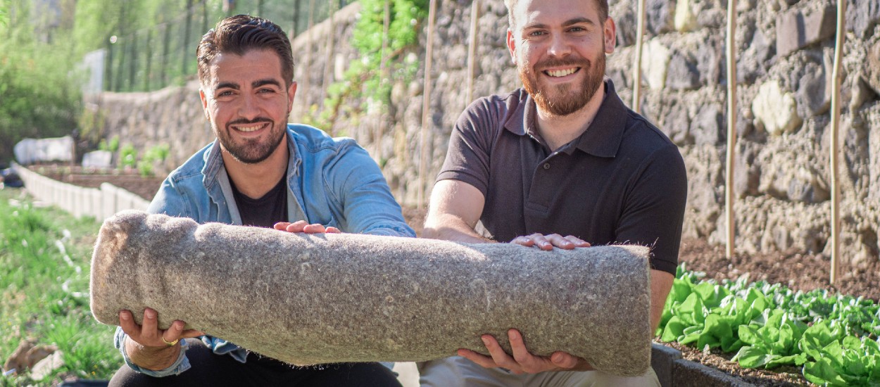 Grâce aux chutes de cheveux, ils créent un tapis de paillage naturel pour un jardin plus écolo