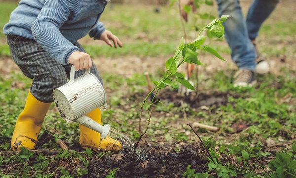 Comment bien utiliser son arrosoir ? Pas aussi simple qu'on le pense !