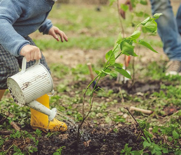 Comment bien utiliser son arrosoir ? Pas aussi simple qu'on le pense !