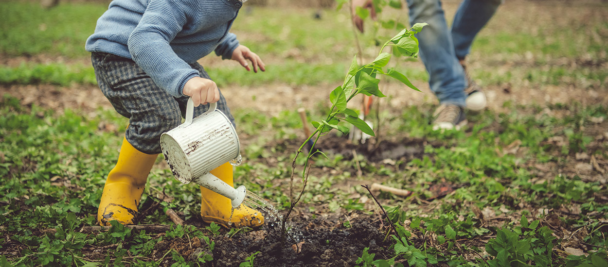 Comment bien utiliser son arrosoir ? Pas aussi simple qu'on le pense !